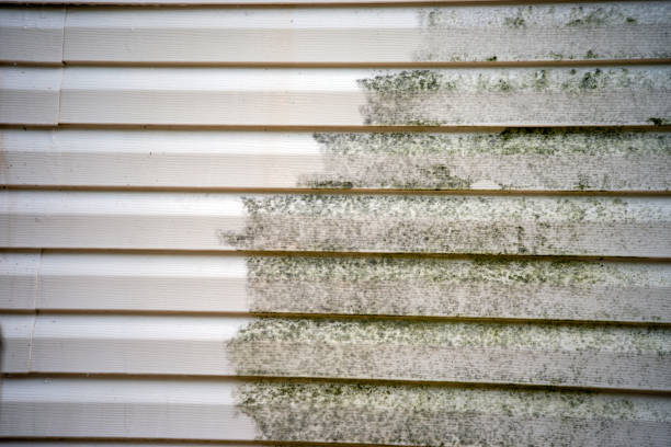 Best Weatherproofing and Sealing  in Cherry Hill Mall, NJ