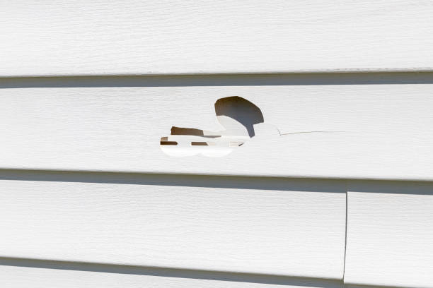 Best Fiber Cement Siding Installation  in Cherry Hill Mall, NJ